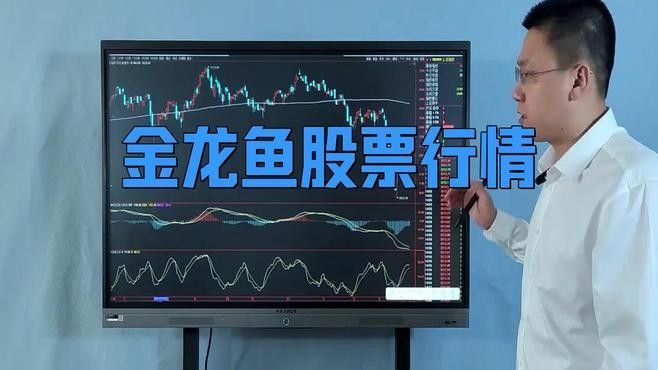 七鰭金龍魚的價格是多少？（七鰭金龍魚價格表）