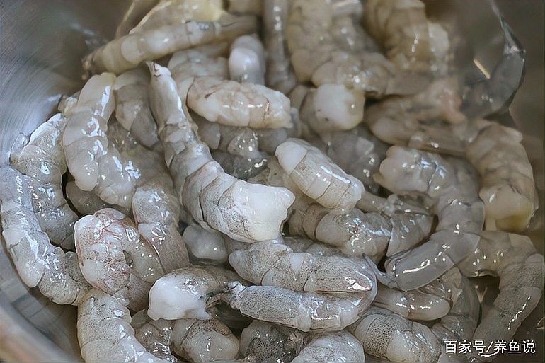 龍魚(yú)飼料魚(yú)消毒后能保存多久 龍魚(yú)飼料魚(yú)消毒后能保存多久 龍魚(yú)百科 第4張