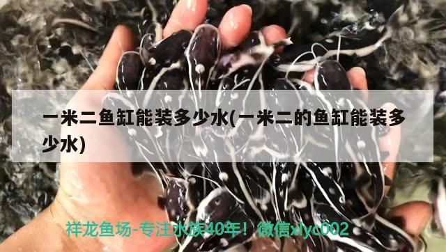 一米二魚缸能裝多少水(一米二的魚缸能裝多少水) 一米二魚缸能裝多少水(一米二的魚缸能裝多少水) 觀賞魚百科 第1張