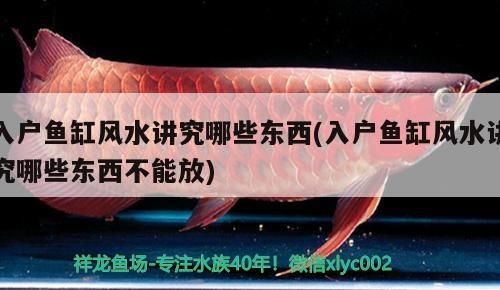 一米二魚缸能裝多少水(一米二的魚缸能裝多少水) 一米二魚缸能裝多少水(一米二的魚缸能裝多少水) 觀賞魚百科 第3張