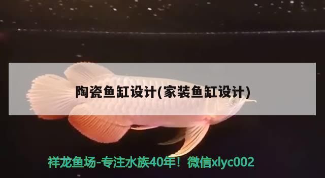 一米二魚缸能裝多少水(一米二的魚缸能裝多少水) 一米二魚缸能裝多少水(一米二的魚缸能裝多少水) 觀賞魚百科 第2張