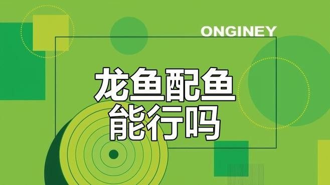 粗線銀板魚和哪些龍魚混養比較安全？（粗線銀板魚與其他龍魚混養的優缺點及注意事項）