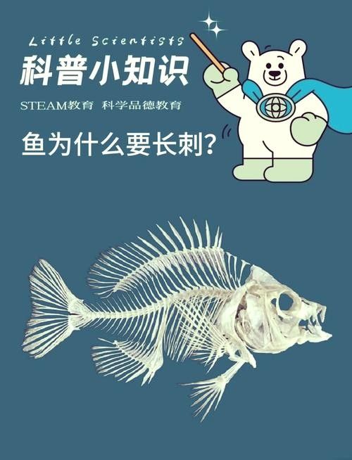 如何確保紅龍魚無骨刺？（如何確保紅龍魚無骨刺）