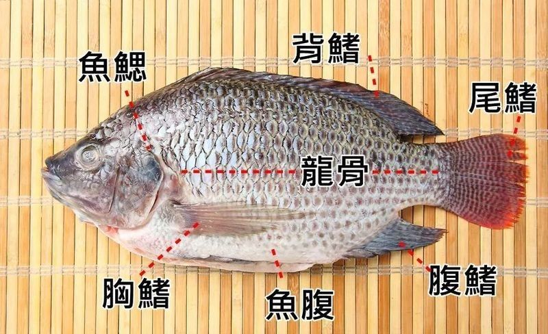 如何確保紅龍魚無骨刺？（如何確保紅龍魚無骨刺）