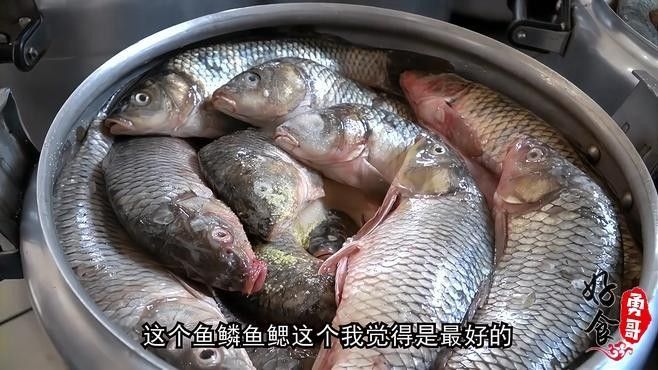 如何確保紅龍魚無骨刺？（如何確保紅龍魚無骨刺）