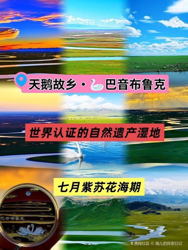 巴音布魯克（國之美/新疆之旅(35)巴音布魯克） 巴音布魯克（國之美/新疆之旅(35)巴音布魯克） 觀賞魚百科 第8張