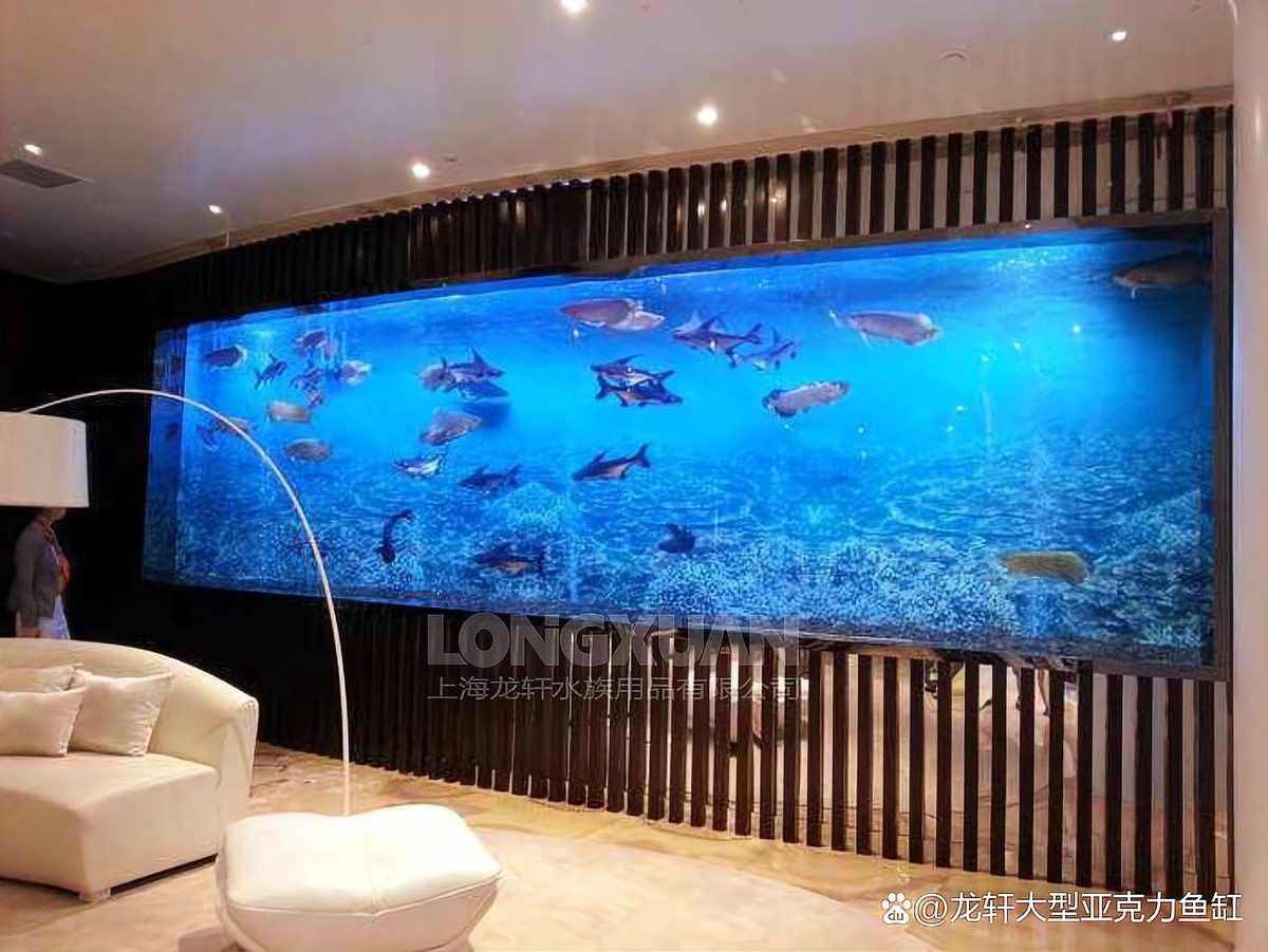 龍魚魚缸壁紙如何安裝（魚缸壁紙安裝步驟）