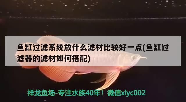 魚缸過濾系統放什么濾材比較好一點(魚缸過濾器的濾材如何搭配)（魚缸過濾系統放什么濾材）