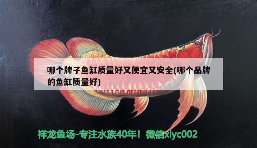 哪個牌子魚缸質(zhì)量好又便宜又安全(哪個品牌的魚缸質(zhì)量好)（什么牌子的魚缸質(zhì)量好又便宜又安全的知識：什么牌子的魚缸好）
