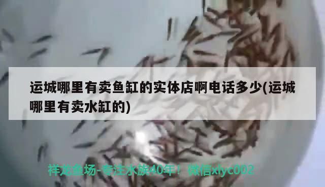 運城哪里有賣魚缸的實體店啊電話多少(運城哪里有賣水缸的)（運城哪里有賣水缸的實體店？）