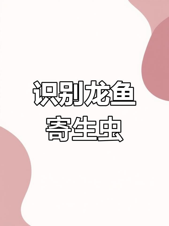 龍魚腮部疾病都有哪些（魚腮部疾病是指龍魚在腮部發生的一系列疾病及其癥狀） 龍魚腮部疾病都有哪些（魚腮部疾病是指龍魚在腮部發生的一系列疾病及其癥狀） 觀賞魚百科 第6張