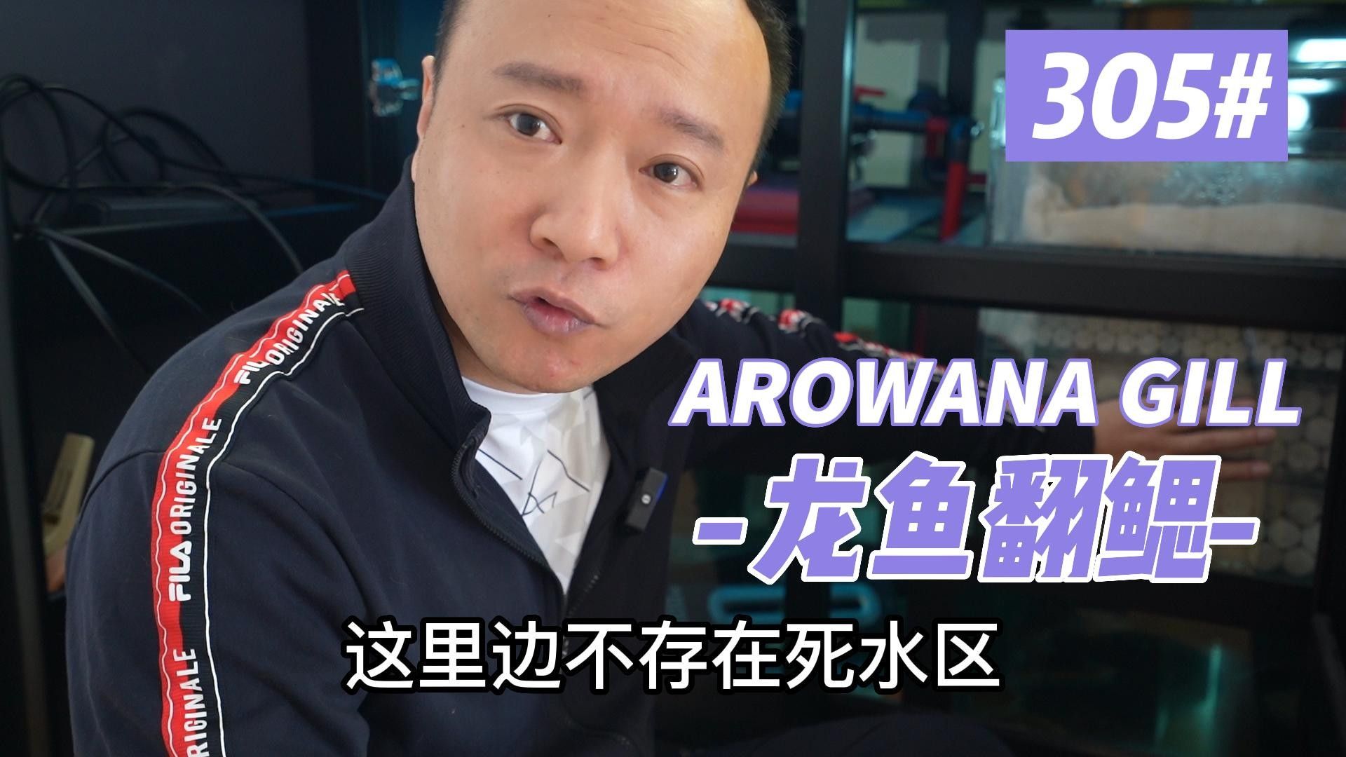 龍魚腮部疾病都有哪些（魚腮部疾病是指龍魚在腮部發生的一系列疾病及其癥狀） 龍魚腮部疾病都有哪些（魚腮部疾病是指龍魚在腮部發生的一系列疾病及其癥狀） 觀賞魚百科 第1張