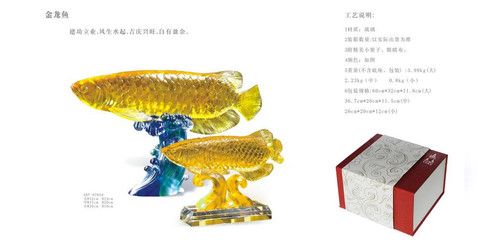 短身金龍魚優點缺點(短身龍魚好嗎) 短身金龍魚優點缺點(短身龍魚好嗎) 觀賞魚百科