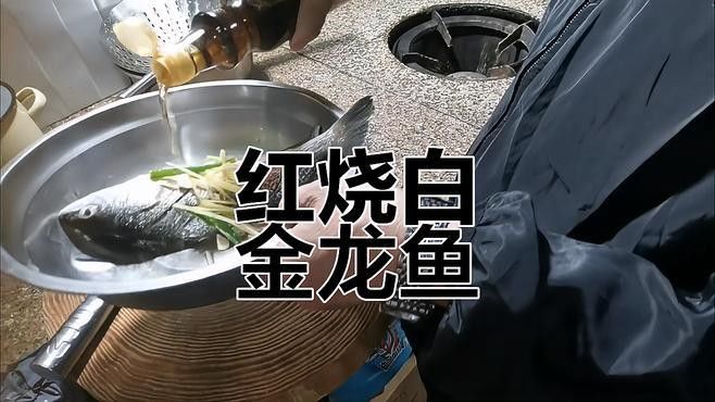 白金龍魚的價格是多少？（世界10大最昂貴的觀賞魚，第一售價超過400萬，第一售價超400萬）