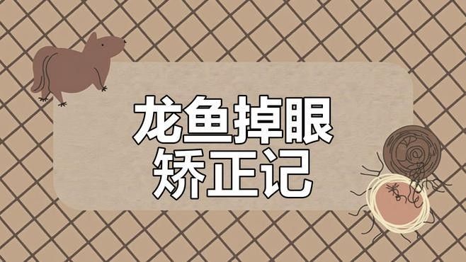龍魚兜嘴和掉眼可以糾正嗎？（夢幻波斯藍(lán)龍魚掉眼兜嘴手術(shù)矯正全紀(jì)錄adwave）