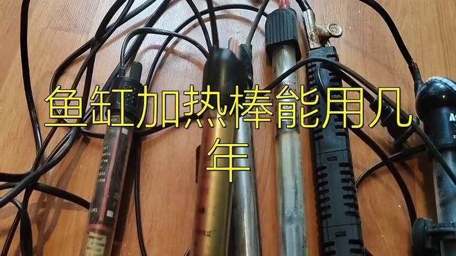 加熱棒多久換一次（魚缸加熱棒多久換一次）