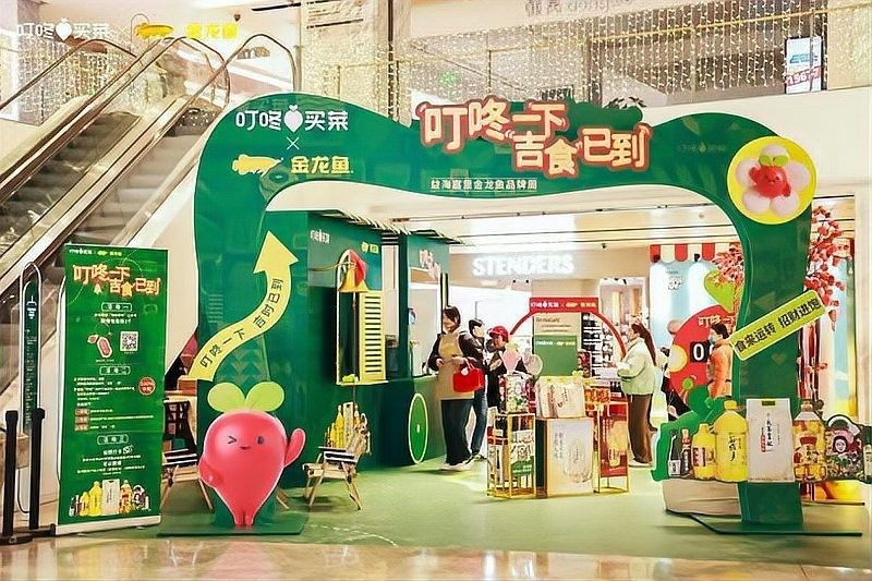 金龍魚贊助過哪些重大活動（金龍魚可能贊助的重大活動）