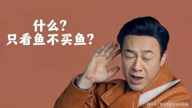 如何保養和清潔玉龍魚？（帝龍漁業|養魚指南|養魚指南） 如何保養和清潔玉龍魚？（帝龍漁業|養魚指南|養魚指南） 龍魚百科 第3張