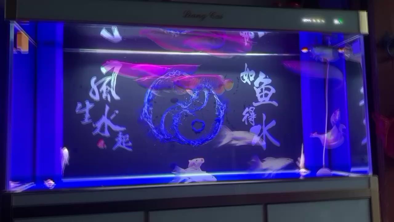 貴陽(yáng)水族館五龍兩蝶（貴陽(yáng)水族館“五龍兩蝶”）