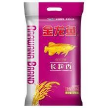 哪里可以購(gòu)買(mǎi)到金龍魚(yú)特選絲苗米（購(gòu)買(mǎi)金龍魚(yú)特選絲苗米的渠道） 哪里可以購(gòu)買(mǎi)到金龍魚(yú)特選絲苗米（購(gòu)買(mǎi)金龍魚(yú)特選絲苗米的渠道） 龍魚(yú)百科 第10張