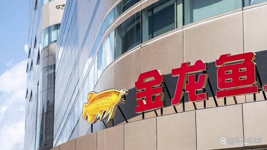 金龍魚(yú)2022年分紅政策如何？（金龍魚(yú)2022年分紅政策有何變化金龍魚(yú)2023年派息時(shí)間）