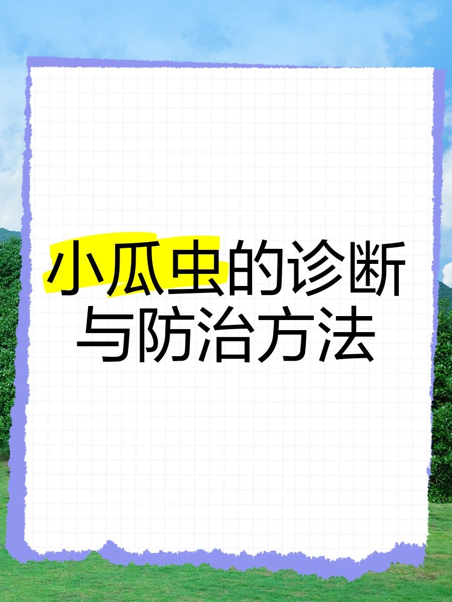 如何判斷金龍魚是否感染小瓜蟲？（金龍魚感染小瓜蟲的診斷方法包括觀察其外觀、檢查鰓部和體表）