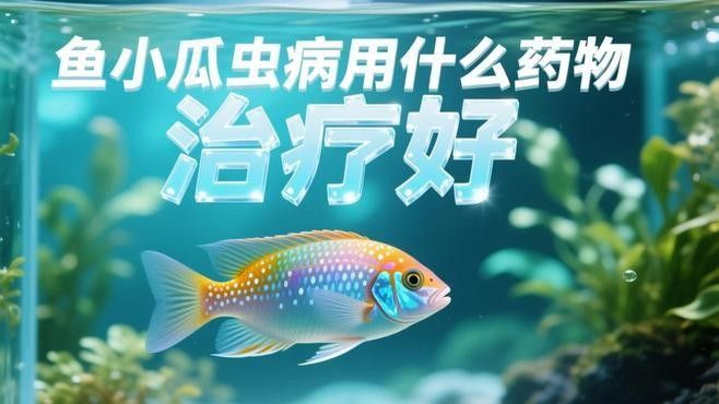 如何判斷金龍魚是否感染小瓜蟲？（金龍魚感染小瓜蟲的診斷方法包括觀察其外觀、檢查鰓部和體表）