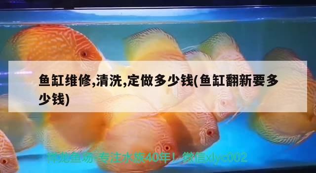 魚缸維修,清洗,定做多少錢(魚缸翻新要多少錢)（魚缸維修,定做多少錢和魚缸翻新要多少錢，魚缸維修要多少錢）