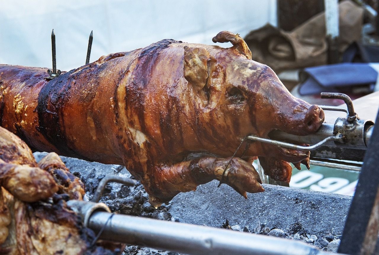 包含龍魚換水需要放些什么的詞條（養(yǎng)龍魚養(yǎng)龍魚需要放15克的鹽可以抑制水中真菌滋生） 包含龍魚換水需要放些什么的詞條（養(yǎng)龍魚養(yǎng)龍魚需要放15克的鹽可以抑制水中真菌滋生） 觀賞魚百科 第1張