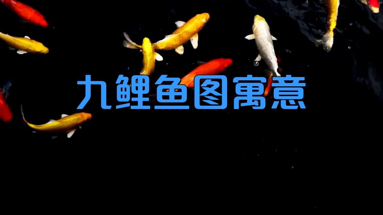 給我推薦幾幅九龍魚國畫作品（九龍魚國畫作品推薦）