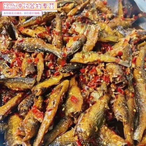 耒陽金龍魚（耒陽金龍魚是什么水龍魚，） 耒陽金龍魚（耒陽金龍魚是什么水龍魚，） 觀賞魚百科 第7張
