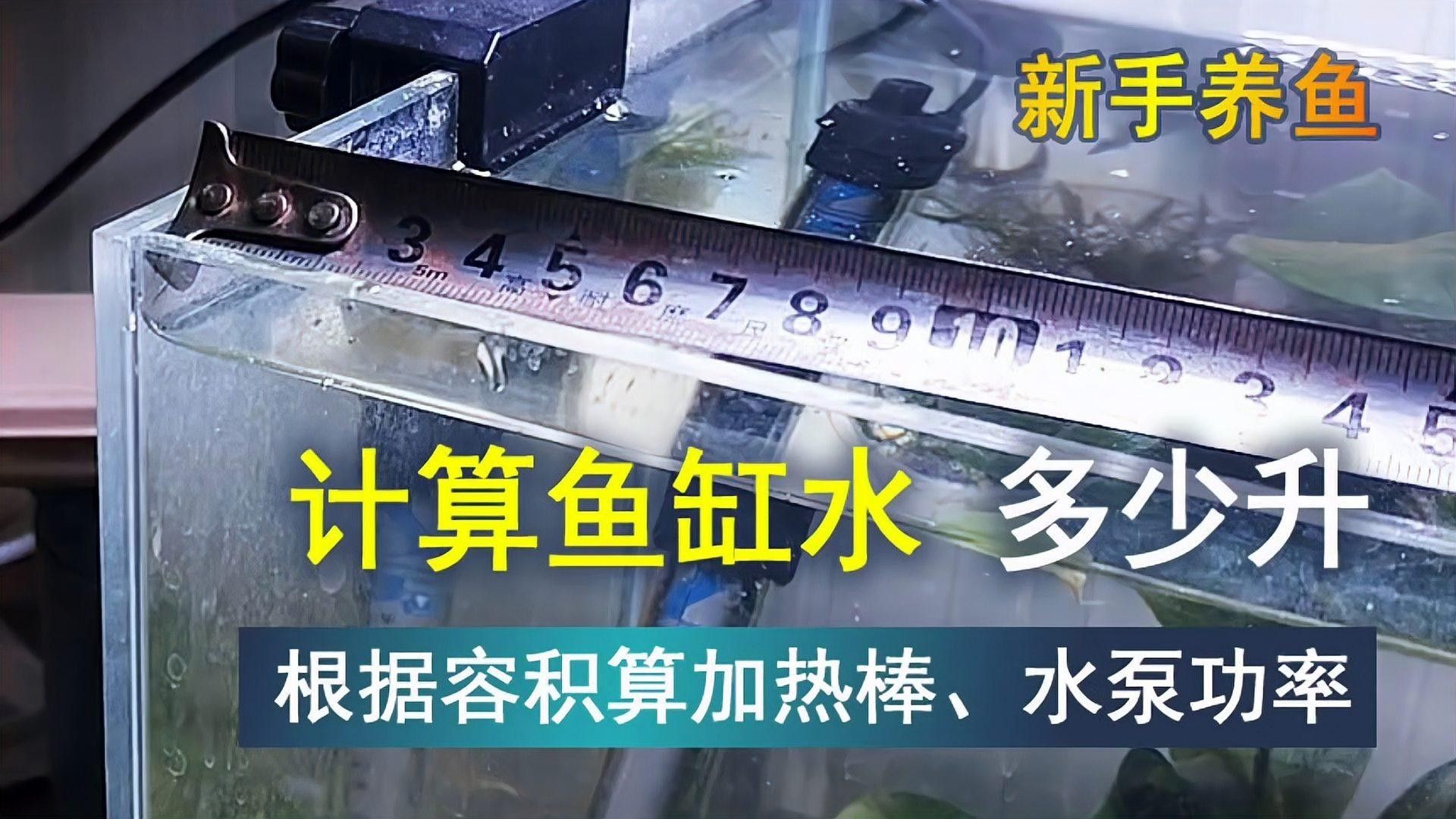 如何根據魚缸尺寸計算功率（泵的等各種參數箱時，不合適的功率是至關重要的） 如何根據魚缸尺寸計算功率（泵的等各種參數箱時，不合適的功率是至關重要的） 龍魚百科 第1張