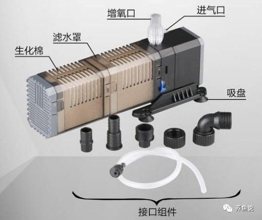 如何根據魚缸尺寸計算功率（泵的等各種參數箱時，不合適的功率是至關重要的） 如何根據魚缸尺寸計算功率（泵的等各種參數箱時，不合適的功率是至關重要的） 龍魚百科 第10張