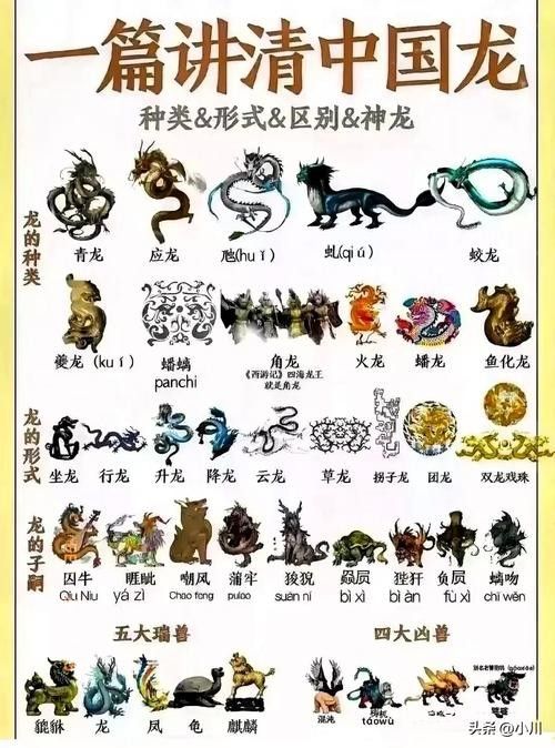 龍王（短身龍福龍）有哪些品種（短身龍福龍的品種多樣，你家的紅龍是那種微信公眾平臺）
