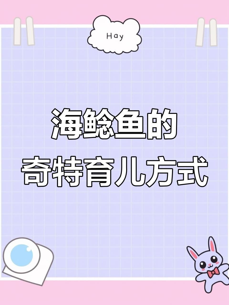 泰龐海鯰魚怎么養（關于泰龐海鯰魚的基本指南）