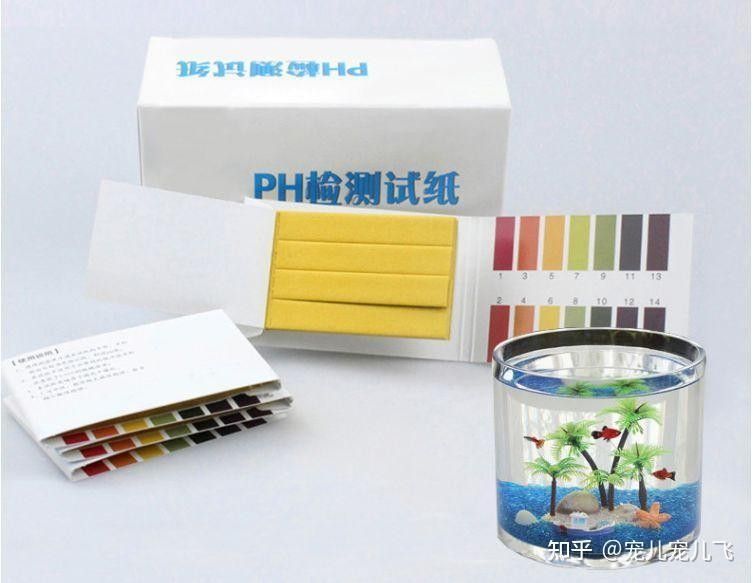 如何檢測龍魚缸的水質(zhì)指標(biāo)？（如何判斷魚缸水質(zhì)是否健康） 如何檢測龍魚缸的水質(zhì)指標(biāo)？（如何判斷魚缸水質(zhì)是否健康） 龍魚百科 第4張
