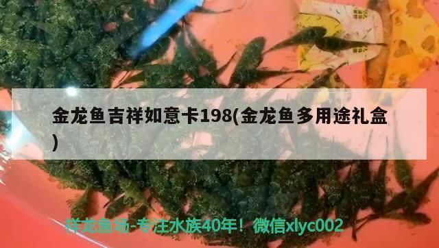 金龍魚吉祥如意卡198(金龍魚多用途禮盒)（金龍魚吉祥如意卡198）