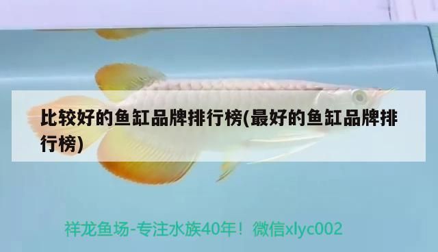 比較好的魚缸品牌排行榜(最好的魚缸品牌排行榜)（什么牌子的魚缸好） 比較好的魚缸品牌排行榜(最好的魚缸品牌排行榜)（什么牌子的魚缸好） 觀賞魚百科 第2張