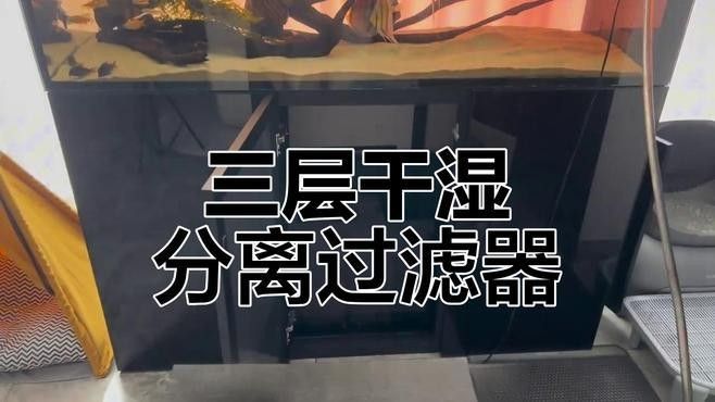 龍魚缸過濾材料多久更換一次（養魚老道，魚缸過濾系統怎樣裝） 龍魚缸過濾材料多久更換一次（養魚老道，魚缸過濾系統怎樣裝） 龍魚百科 第4張
