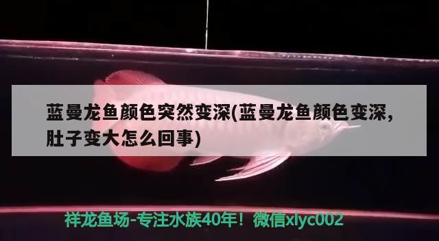 <strong><mark>南昌</mark></strong>市哪里有賣魚缸的市場啊（<strong><mark>南昌</mark></strong>市哪里有賣魚缸的市場啊多少錢）（<strong><mark>南昌</mark></strong>市哪里有賣魚缸的市場）