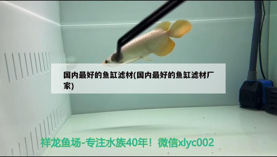 國(guó)內(nèi)最好的魚缸濾材(國(guó)內(nèi)最好的魚缸濾材廠家)（國(guó)內(nèi)最好的魚缸濾材廠家對(duì)應(yīng)的相關(guān)信息，魚缸濾材廠家） 國(guó)內(nèi)最好的魚缸濾材(國(guó)內(nèi)最好的魚缸濾材廠家)（國(guó)內(nèi)最好的魚缸濾材廠家對(duì)應(yīng)的相關(guān)信息，魚缸濾材廠家） 觀賞魚百科