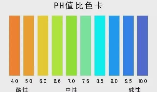 如何判斷龍魚是否感染細菌性爛鰓病（怎樣判斷龍魚是否感染細菌性爛鰓病） 如何判斷龍魚是否感染細菌性爛鰓病（怎樣判斷龍魚是否感染細菌性爛鰓病） 龍魚百科 第6張