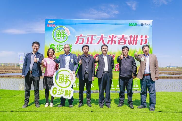 龍魚胡須疾病會自愈嗎，如何判斷龍魚胡須疾病是否嚴重？