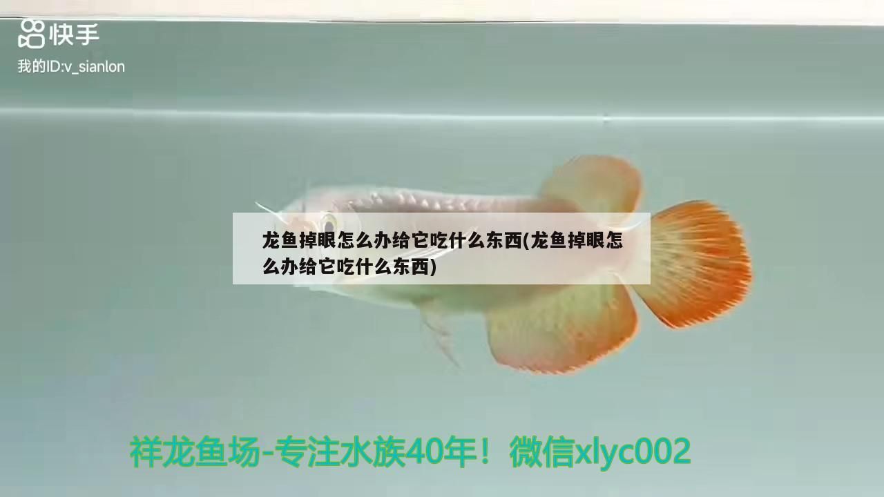 煙火牌超白魚缸和煙火超白魚缸哪個是正規的對應信息，煙火牌超白魚缸和煙火超白缸哪個是正規的對應信息 煙火牌超白魚缸和煙火超白魚缸哪個是正規的對應信息，煙火牌超白魚缸和煙火超白缸哪個是正規的對應信息 觀賞魚百科 第2張