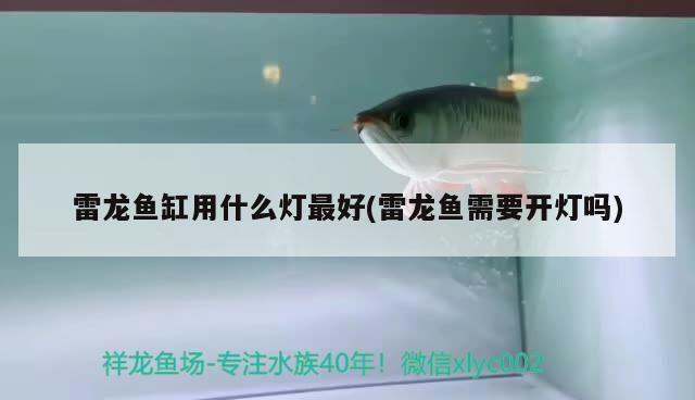 煙火牌超白魚缸和煙火超白魚缸哪個是正規的對應信息，煙火牌超白魚缸和煙火超白缸哪個是正規的對應信息 煙火牌超白魚缸和煙火超白魚缸哪個是正規的對應信息，煙火牌超白魚缸和煙火超白缸哪個是正規的對應信息 觀賞魚百科 第1張