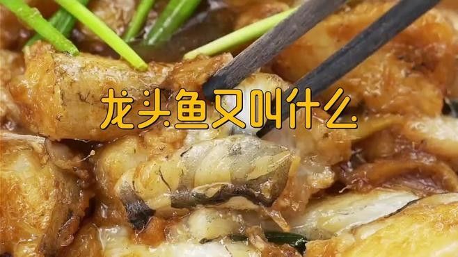 潮汕人為什么稱這種魚為“龍魚”（為什么潮汕人稱某種魚為“龍魚”？）