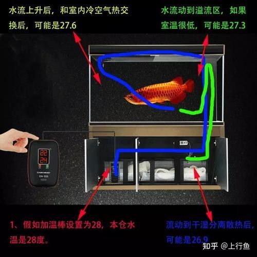 龍魚缸需要多大的加熱棒（魚缸加熱棒功率怎么選擇魚缸加熱棒有哪些分類）