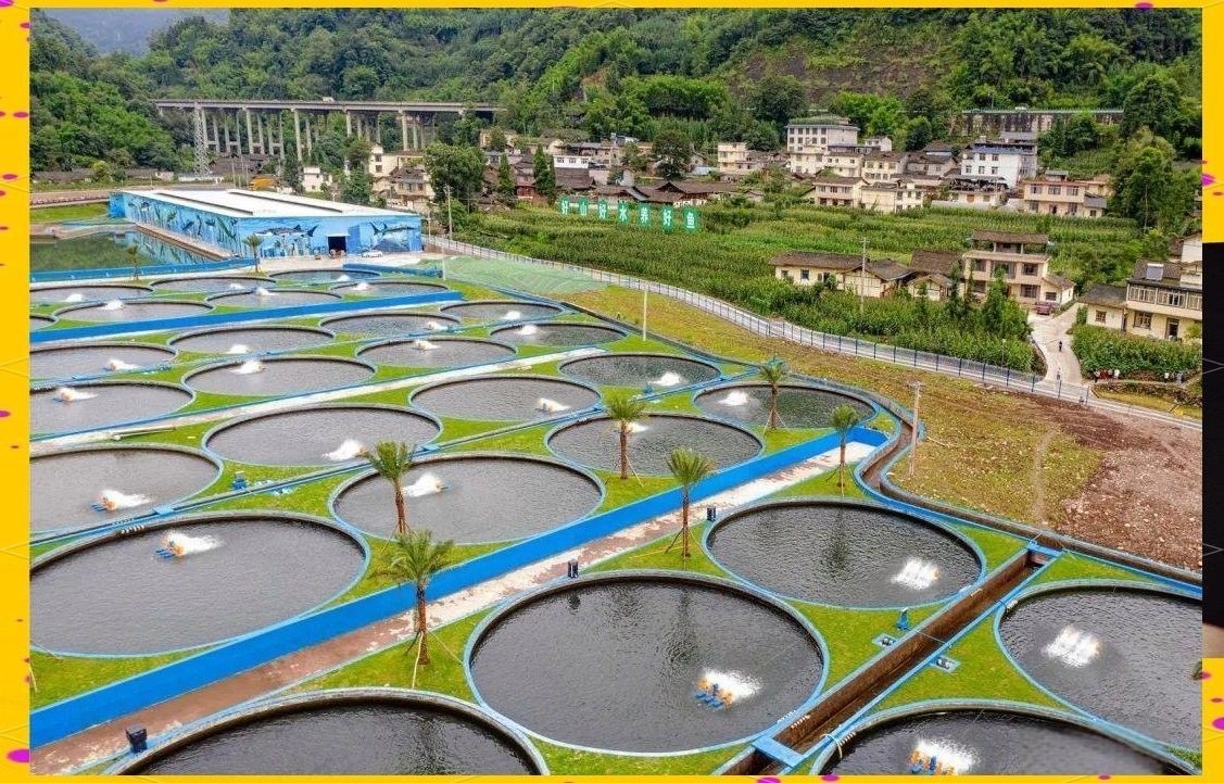 還有哪些養殖場的規模較大？（北京市房山區竇店肉牛養殖基地規模較大哪些蛋雞養殖場規模較大）