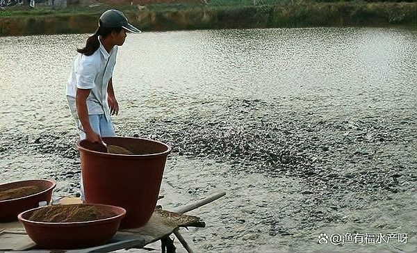 如何處理水質中的氨氮和亞硝酸鹽超標（如何處理氨氮和亞硝酸鹽超標的問題）