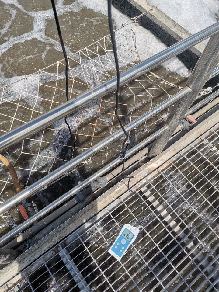 如何處理水質中的氨氮和亞硝酸鹽超標（如何處理氨氮和亞硝酸鹽超標的問題）